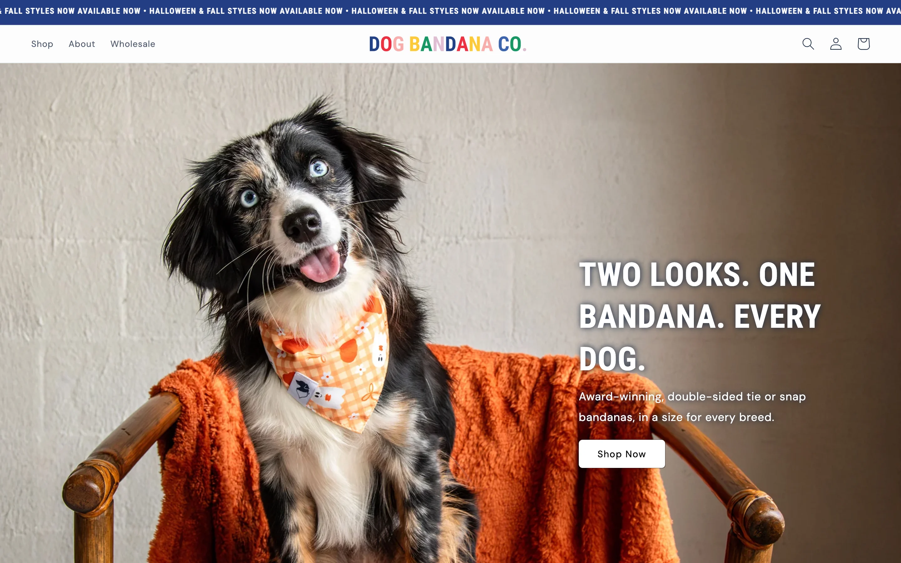 The Dog Bandana Co. website on desktop