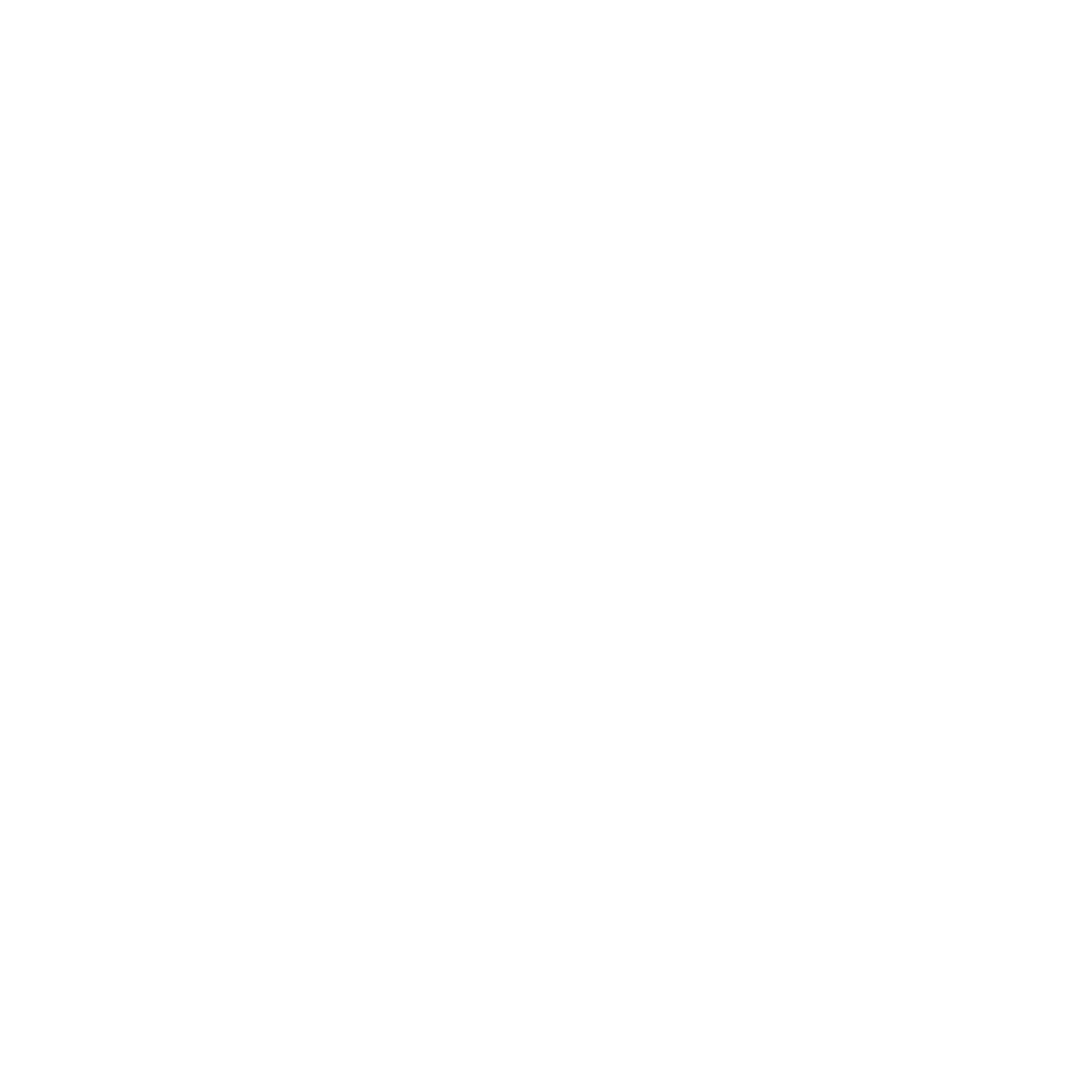 White wordmark
